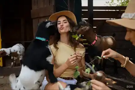 Барские поля - 357