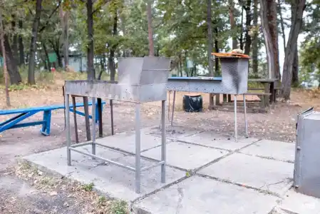 Сосновый бор - 15