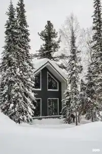 Chalet Needles - 86
