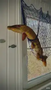 Серебряный Ключ - 109