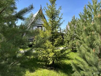 PavLove Village - 151