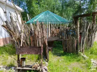 Чайка - 69