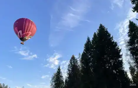 Хвойный Лес - 61