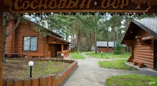 Сосновый бор - 4