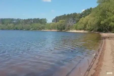 Смородина - 41