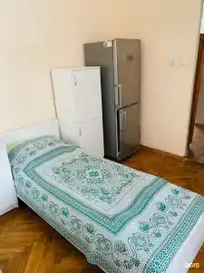 Балтийский лес - 11