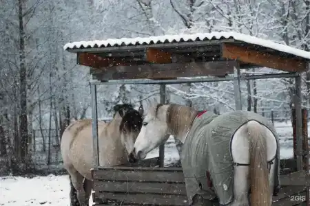 Джао да!ча - 25