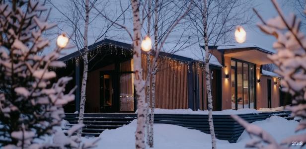 Garnet holiday. Green forest - 76