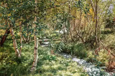 Сакура - 27