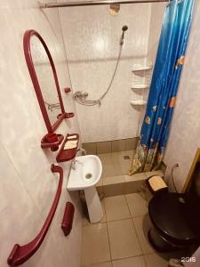 Элизиум - 187