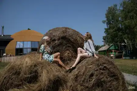 Деревня Хвоя - 25