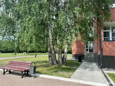 Подмосковье - 392