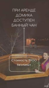 Шале в Женеве - 31