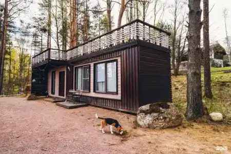 SMART на Горе - 51