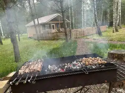 Золотой Куркозель - 22