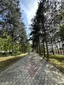 Ателика Тешебс - 12