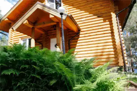 Борвиха - 102