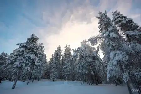 Кола спорт вилладж - 130