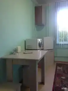 Янтарь - 102