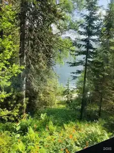 Телецкое Золотое - 130