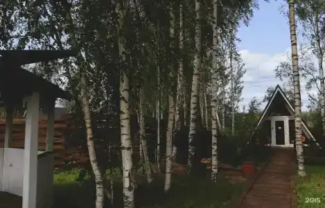 Берёзовая роща - 354