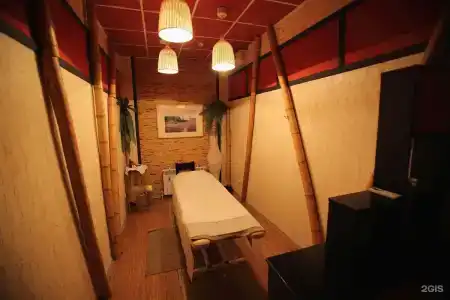 Салют - 11