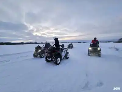 Ижица - 31