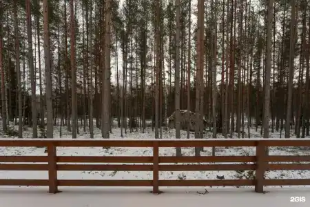 Дома на Сайме - 146