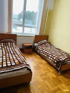 Балтийский лес - 15