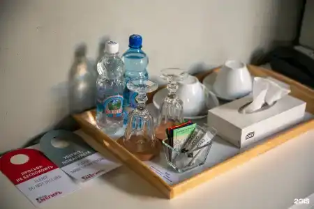 Снегирь - 125