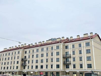 Абрикосовое дерево на набережной Обводного канала - 35