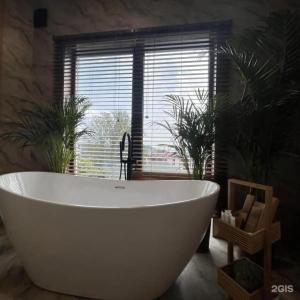 Little Palm - 25