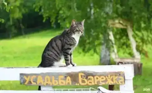 Варежка - 4