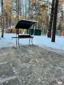 Белая сова - 211