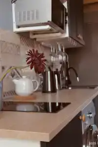 Солнечный свет - 221