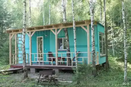 Лесной сон - 1