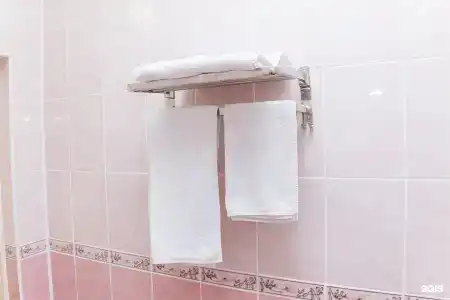 Ливадия-Татарстан - 405