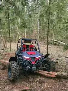 Барские поля - 189