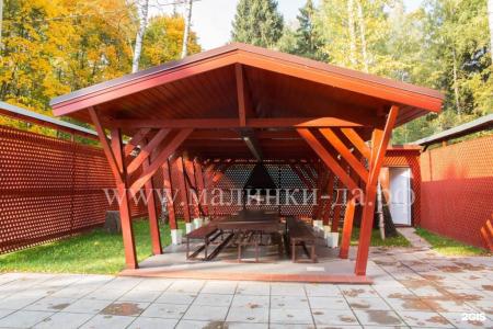 Малинки - 39