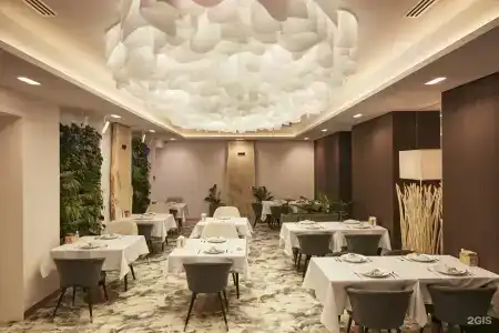 MAYRVEDA - 1