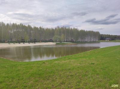 Птица счастья - 41