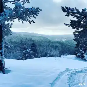 Геолог - 31
