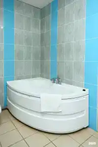 Пантера - 25