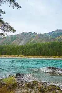 Тэнери - 26
