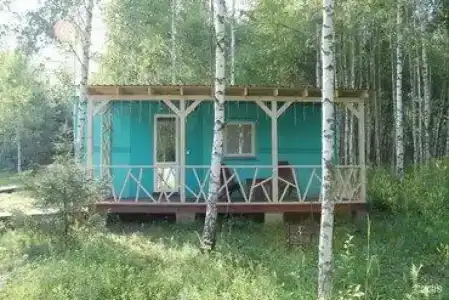 Лесной сон - 77