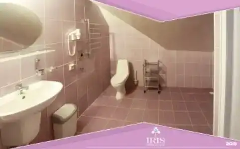Ирис - 85