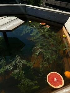 PavLove Village - 133