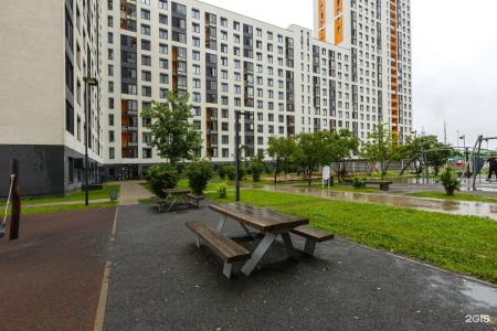 Ренуар студия на Каштановой, 6 - 34