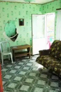 Белый ирис - 4