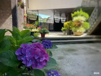 Allegro Home - 12